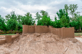 ارگ بم نه شهری با مفهوم پیشرفته آن، بلکه آخرین مکانی بوده که قلعه نشینی تا دیر زمانی به بقای خود ادامه داده است و از این جهت، یعنی آخرین و پایاترین شکل قلعه نشینی، دارای ارزشی ویژه است.