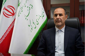 اخذ دفاع از ۳۶ مقام مسئول در پی استنکاف از اجرای قانون جوانی جمعیت