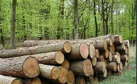 علل تخریب جنگل و تصرف منابع طبیعی