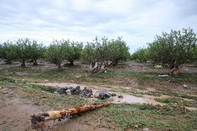 خسارت سیل به برخی روستاهای شهرستان اهر