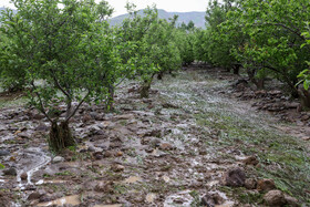 خسارت سیل به برخی روستاهای شهرستان اهر