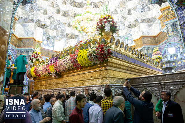 ویدیو / گلآرایی ضریح حضرت معصومه (ع) توسط خادمان امام رضا (ع) برای نخستین بار ویدیو / گلآرایی ضریح حضرت معصومه (ع) توسط خادمان امام رضا (ع) برای نخستین بار