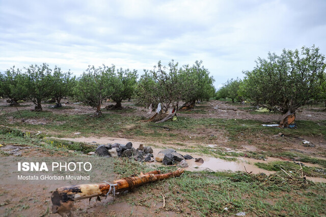عکس تزئینی ست خسارت سیل اخیر به کشاورزان در ۴ شهرستان استان