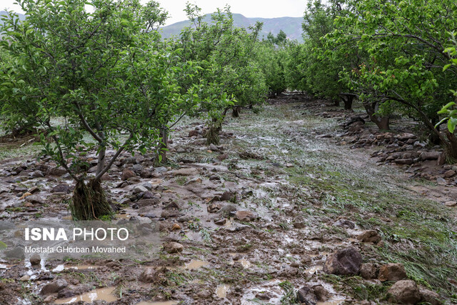 خسارت سنگین به تعدادی از روستاهای خدابنده در پی بارش‌های اخیر