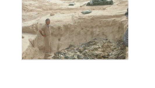 تصویر تزیینی است ماجرای زنده به گور کردن پاسداران توسط ضدانقلاب