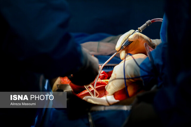 عکس خبر آرشیوی است. ارتقای شاخص اهدای عضو در کشور از ۷.۸ به ۱۲.۲ در هر یک میلیون نفر