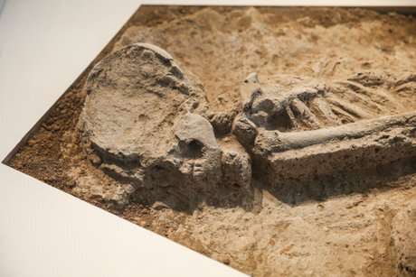 اسکلت بانوی هفتهزارساله تهران محل کشف بانوی ۷هزارساله تهران پارکینگ موتور شد!