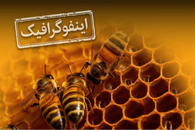 اینفوگرافیک / بزرگترین تولیدکنندگان عسل در جهان