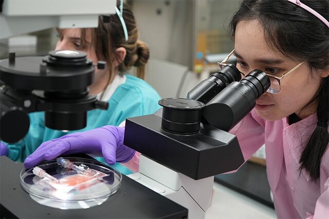 آزمایش داروهای سرطان برای اولین بار در فضا انجام میشود