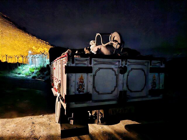 کشف و ضبط چوب قاچاق در یکی از روستاهای مریوان