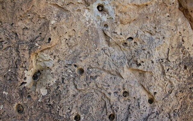 ۱۲ مردی که قاچاقچیان سوراخ سوراخ کردند