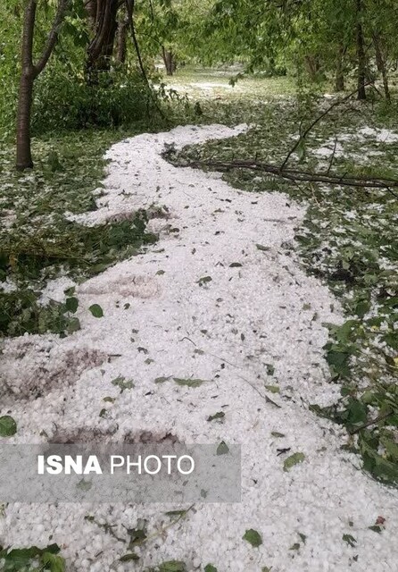 عکس تزیینی است خرد شدن شیشه خودروها و شکستن درختان در اثر بارش تگرگ در آذربایجان شرقی