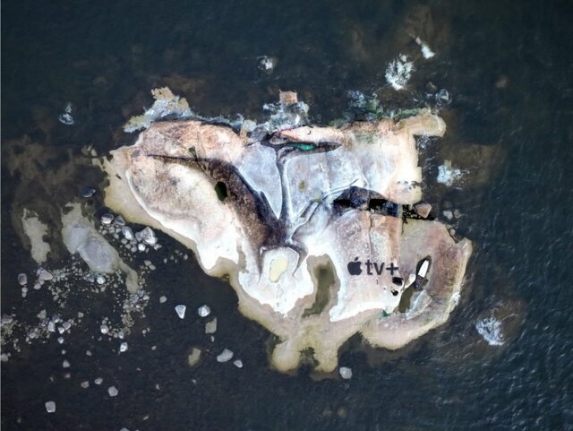 دایناسورهای عظیم روی زمین نقاشی شدند + تصاویر