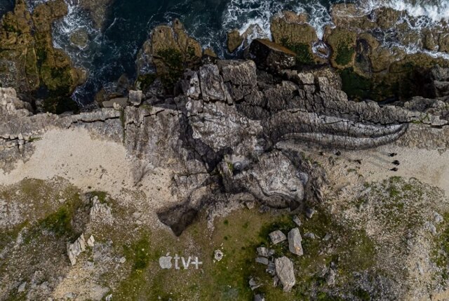 دایناسورهای عظیم روی زمین نقاشی شدند + تصاویر