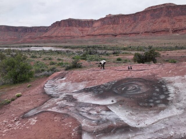 دایناسورهای عظیم روی زمین نقاشی شدند + تصاویر