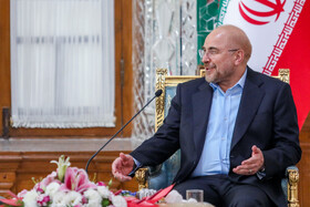 دیدار رهبر ملی ترکمنستان با رییس مجلس شورای اسلامی