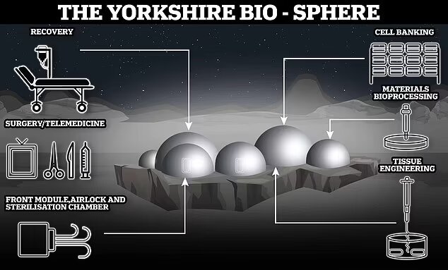معدن «یورکشایر» با زندگی در مریخ چه ارتباطی دارد؟