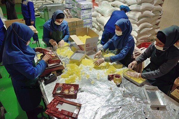 جزئیات پرداخت تسهیلات ارزان به تعاونیهای فراگیر ملی