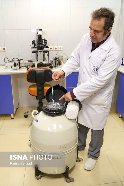 انجماد یک «رویا» در دمای منفی ۱۹۶ درجه