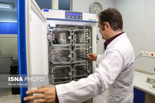 انجماد یک «رویا» در دمای منفی ۱۹۶ درجه