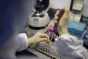 حمایت از ۳۲ طرح پژوهشی سلامت؛ از بررسی تاثیر جنگ و تحریم تا پیشگیری از فساد