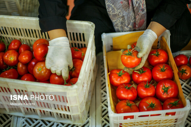 آیا باغ شما شناسنامه دارد؟!