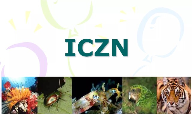 نام افراد را روی گونههای جدید جانوری نگذارید!