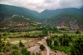 برداشت گیلاس در روستای بندبن