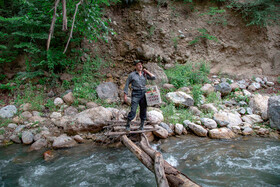 برداشت گیلاس در روستای بندبن