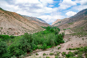 برداشت گیلاس در روستای بندبن