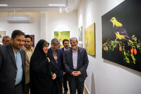 افتتاح اولین مرکز اجرایی حمایت از پرندگان