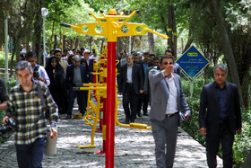 افتتاح اولین مرکز اجرایی حمایت از پرندگان