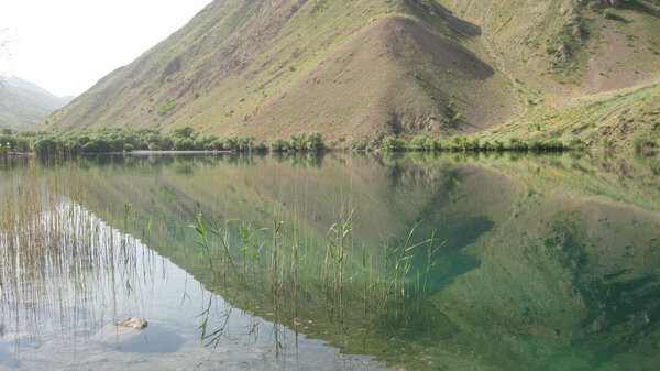 گَهرِ بی‌سامان