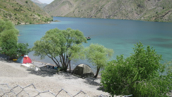 گَهرِ بیسامان و میمهای متولی