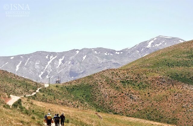 گَهرِ بیسامان و میمهای متولی