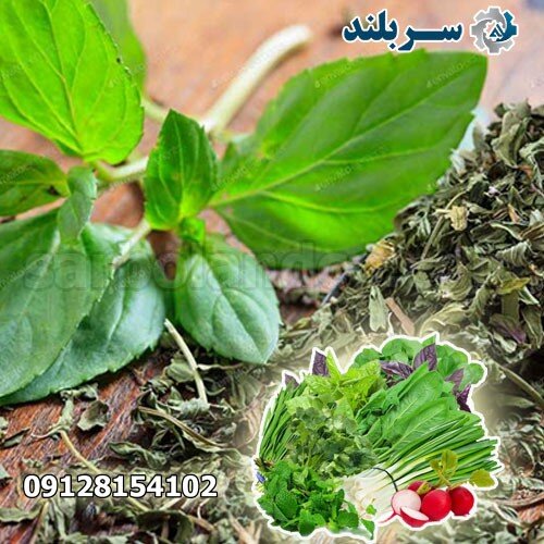معرفی انواع دستگاه بسته‌بندی سبزی