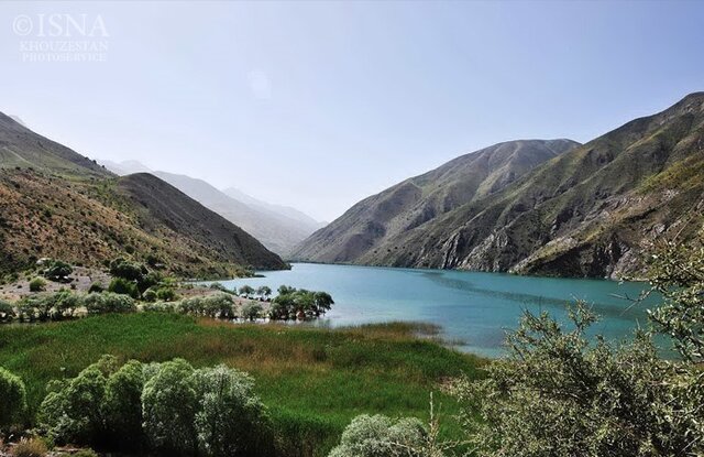 گَهرِ بیسامان و میمهای متولی