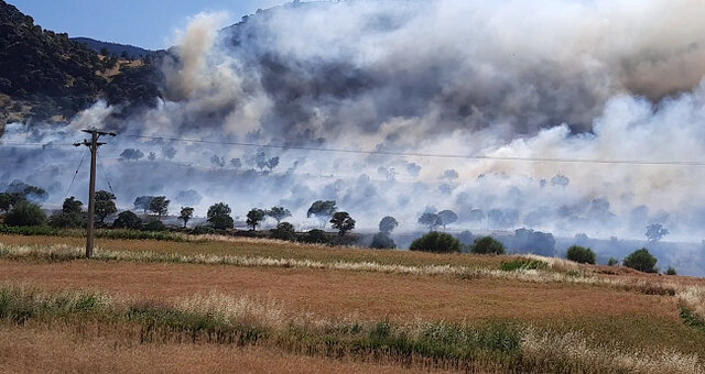 آتش کمبود امکانات و تجهیزات در کمین جنگل‌های کهگیلویه و بویراحمد