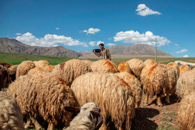 مردمانی سختکوش با زندگی ساده و بیآلایش