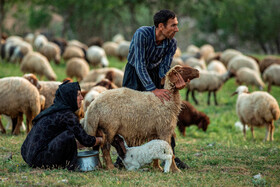 مردمانی سختکوش با زندگی ساده و بیآلایش