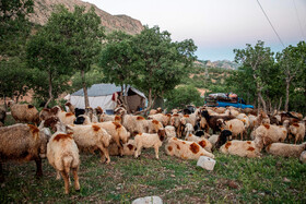 مردمانی سختکوش با زندگی ساده و بیآلایش