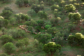 مردمانی سختکوش با زندگی ساده و بیآلایش