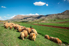 مردمانی سختکوش با زندگی ساده و بیآلایش