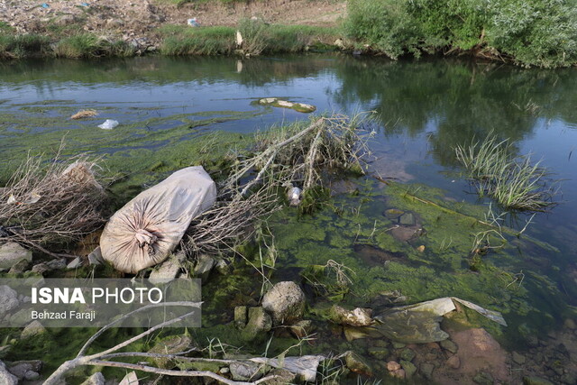 حال و روز ناخوش "قرهسو"