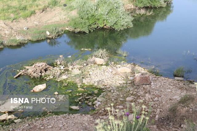 حال و روز ناخوش "قرهسو"
