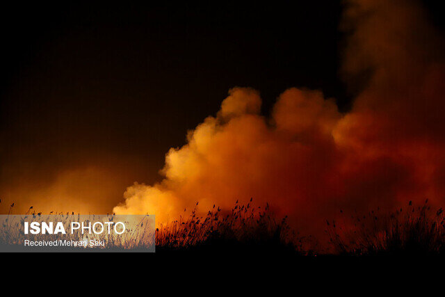 عکس تزیینی است آتشسوزی در منطقه حفاظت شده "بوزین و مرخیل" کرمانشاه