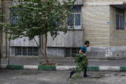 پیش‌بینی وزش باد شدید در تهران