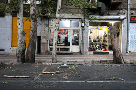 وزش باد شدید در تهران