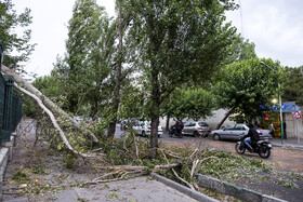 هشدار نارنجی برای تهران/ وزش باد شدید و خیزش گرد و خاک