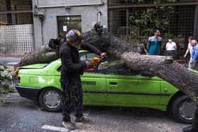 خسارات ناشی از وزش باد شدید در تهران
